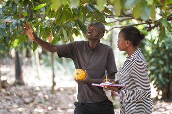 The interviews were held on 205 different farms in Mukono district, Uganda (© Mubiru Derrick Triesman)