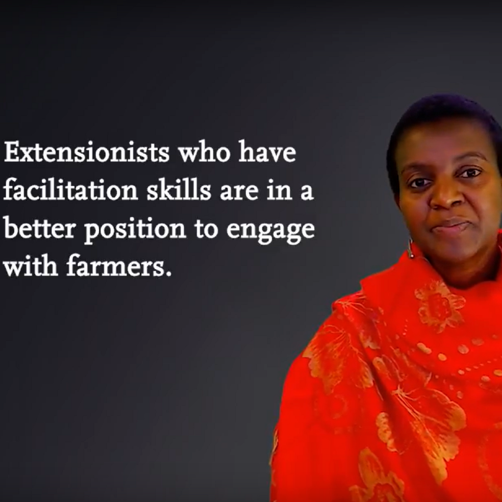 A woman in red sits and looks directly at the camera. This is an image from a video from Hlami Ngwenya, an expert facilitator and one of the founders, on the NELK online platform where twenty different courses are freely available.