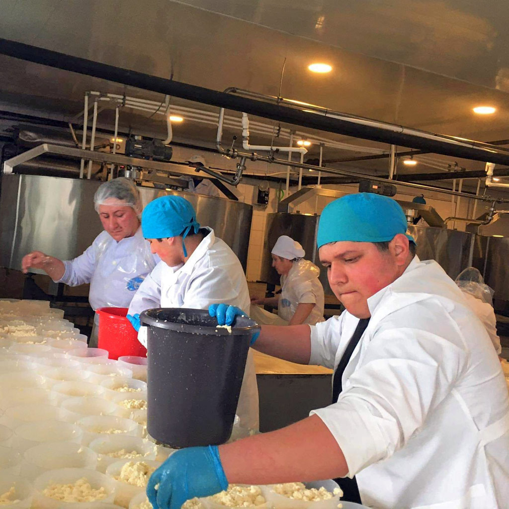 Two aspiring dairy technologists (with blue caps) are working at Elola, a small commercial cheese processing plant in Verishen, southern Armenia. 