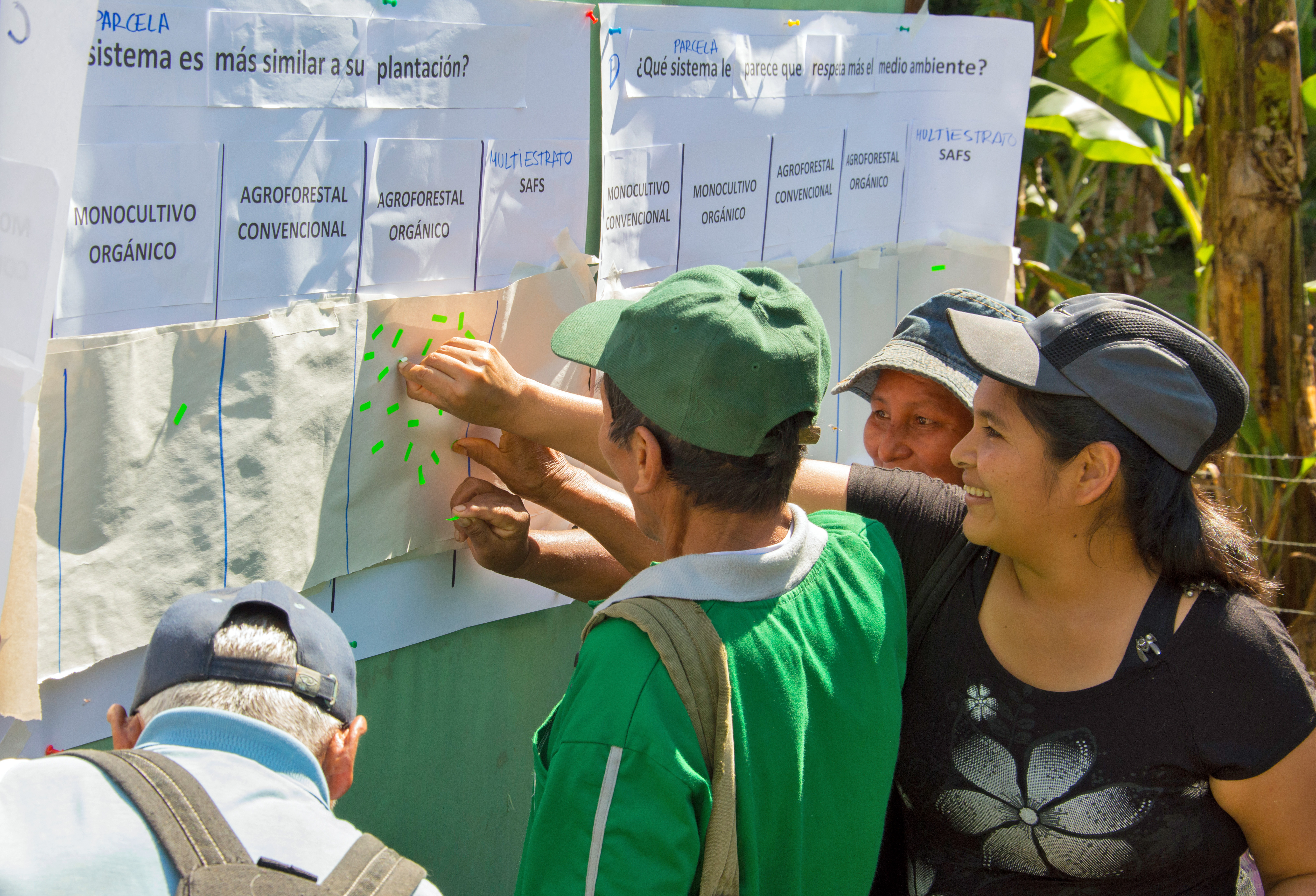Participants of the open door event, after visiting the long-term trail, agree that the organic agroforestry treatment is the most similar to their own cocoa plantation.